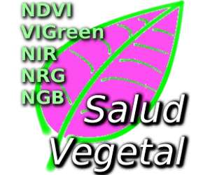 imscope-200.png